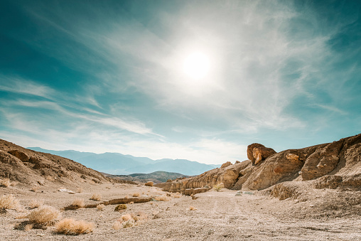 interesting-facts-about-the-mojave-desert-fact-bud